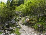 Krn - Mrzli vrh above Planina Pretovč